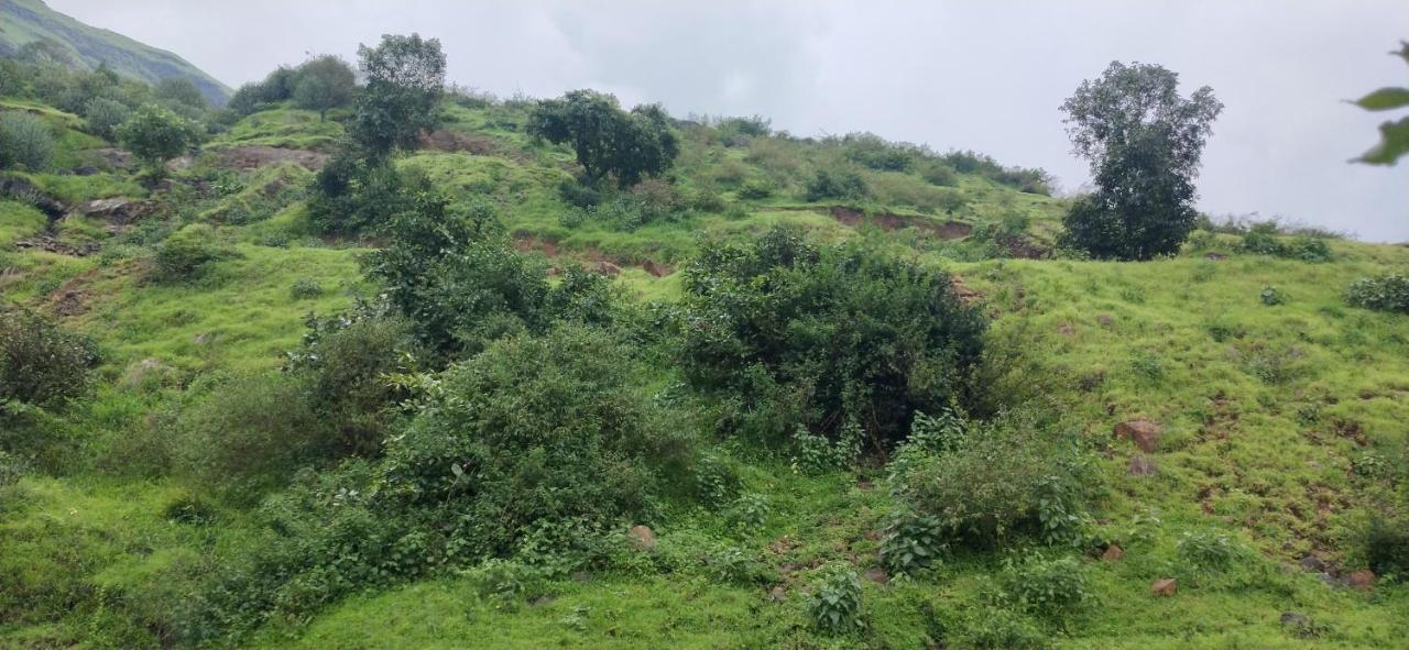 Golden Resort And Farm Nashik Buitenkant foto